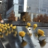 9/11 Memorial &amp; Museum