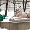 New York Public Library