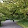 Brooklyn Botanic Garden