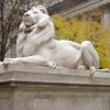 New York Public Library