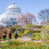 New York Botanical Garden