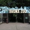 Bronx Zoo