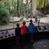 Bronx Zoo