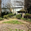 Mount Vernon Hotel Museum &amp; Garden