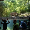 Bronx Zoo