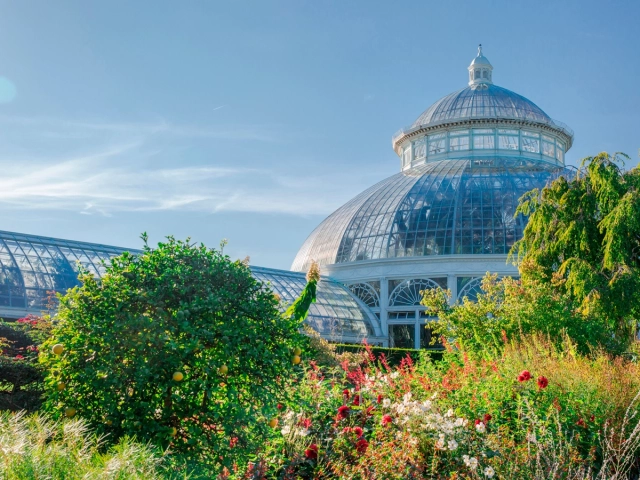 New York Botanical Garden